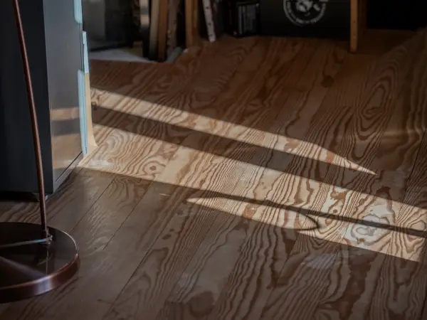 Détail de parquet, lumière rasante.