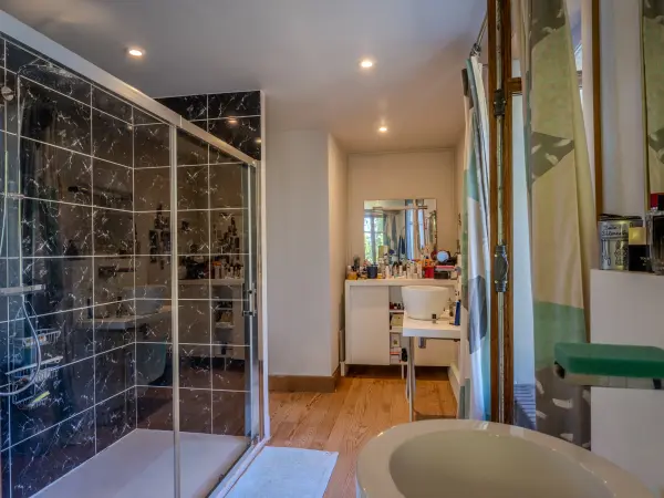 Salle de bains, vasque et douche à l'italienne.