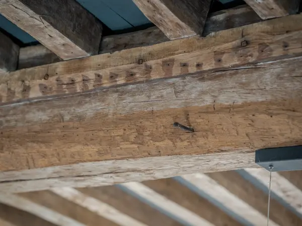 Charpente en bois apparente.