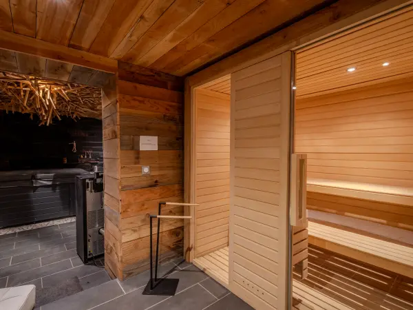 Sauna en bois clair, espace spa du grand gîte.