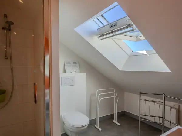 Salle de bains sous combles, autre vue avec douche vitrée et Velux.