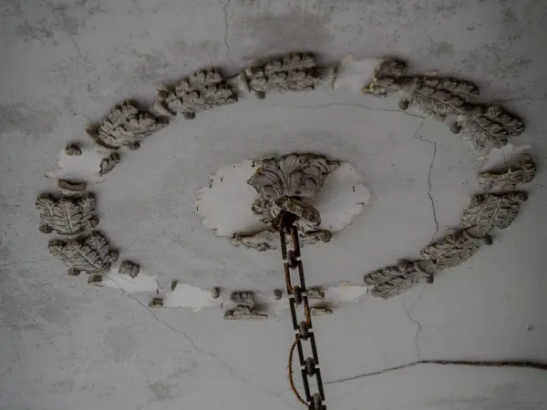 Rosace de plafond à motif feuillagé,.